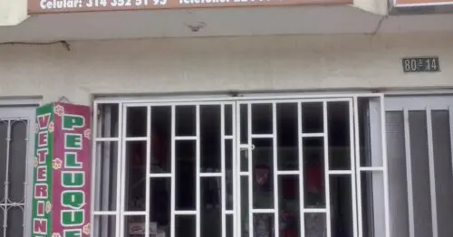 CLINICA VETERIANARIA GIOVET CLINICA VETERIANARIA GIOVET